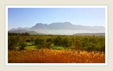 Hex River Valley and Mountains, Western Cape, South Africa, by Peter Maas